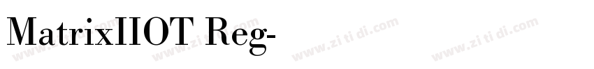 MatrixIIOT Reg字体转换